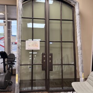 10ft Iron Lion Arched Entry Door