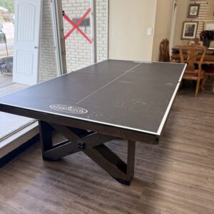 Ping Pong Table