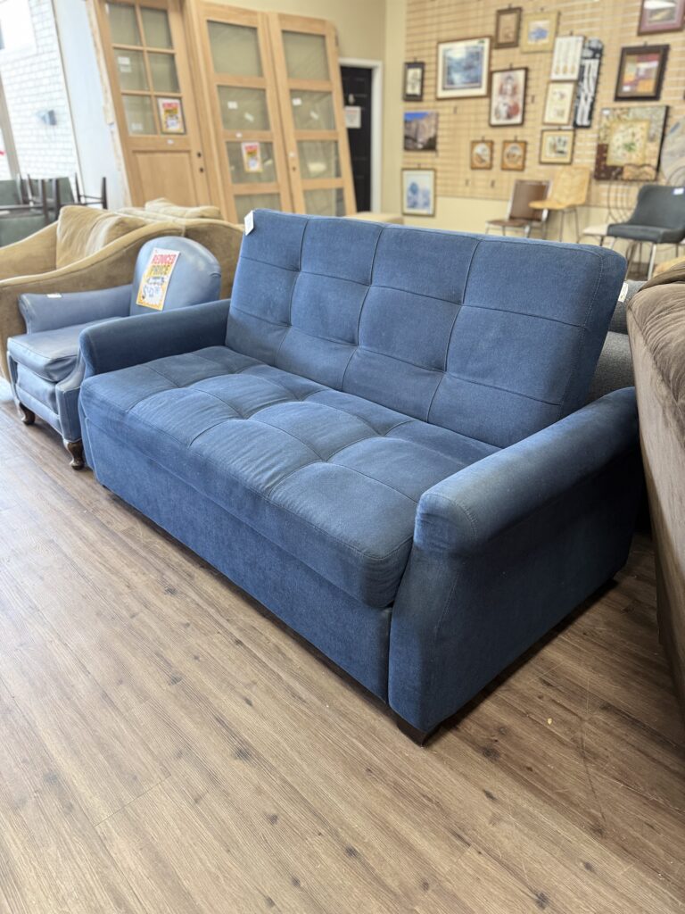 Sleeper Sofa